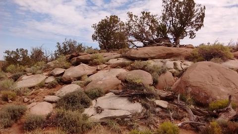 8513 E Tryon Ln, Snowflake, AZ 85937 photo 10