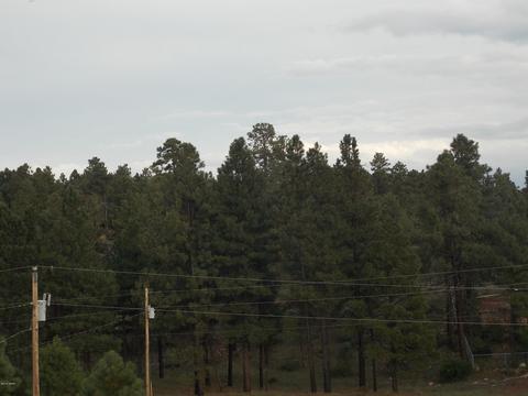 2806 Pine Hill Dr, Overgaard, AZ 85933 photo 7