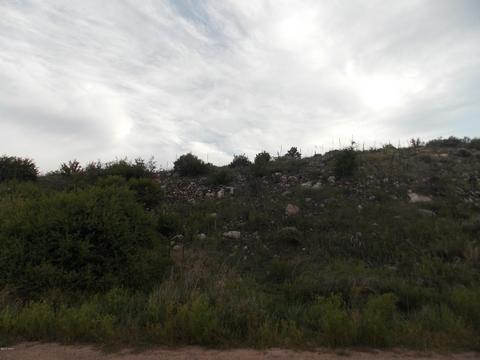 2806 Pine Hill Dr, Overgaard, AZ 85933 photo 5