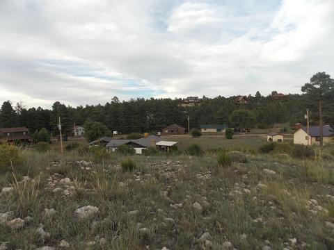 2806 Pine Hill Dr, Overgaard, AZ 85933 photo 6