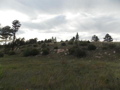 2806 Pine Hill Dr, Overgaard, AZ 85933 photo 3