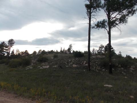 2806 Pine Hill Dr, Overgaard, AZ 85933 photo 4