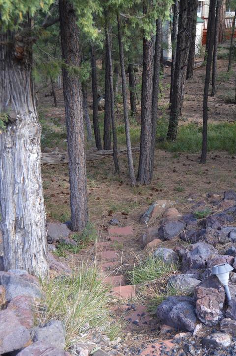 2310 E Hanging Tree, Show Low, AZ 85901 photo 7