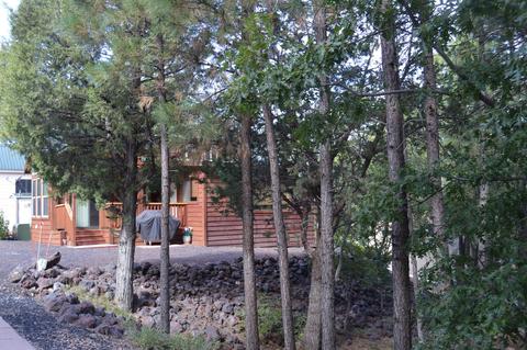 2310 E Hanging Tree, Show Low, AZ 85901 photo 3