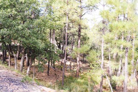 2310 E Hanging Tree, Show Low, AZ 85901 photo 5