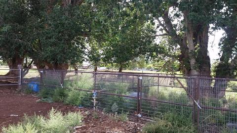 355 E Cattle Ln, Taylor, AZ 85939 photo 8