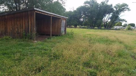 355 E Cattle Ln, Taylor, AZ 85939 photo 13