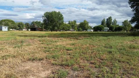 355 E Cattle Ln, Taylor, AZ 85939 photo 4