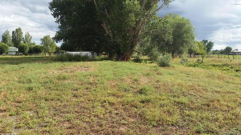 355 E Cattle Ln, Taylor, AZ 85939 photo 3