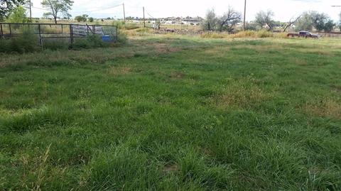 355 E Cattle Ln, Taylor, AZ 85939 photo 9