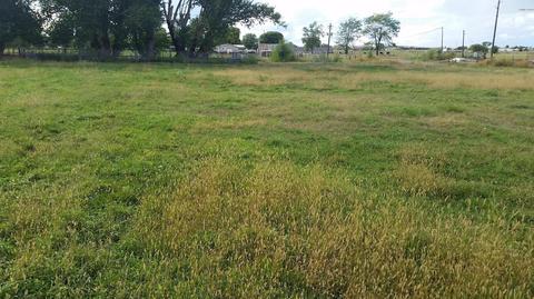 355 E Cattle Ln, Taylor, AZ 85939 photo 10