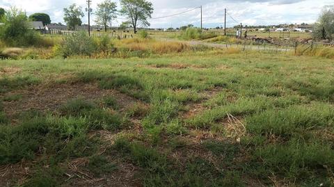 355 E Cattle Ln, Taylor, AZ 85939 photo 6