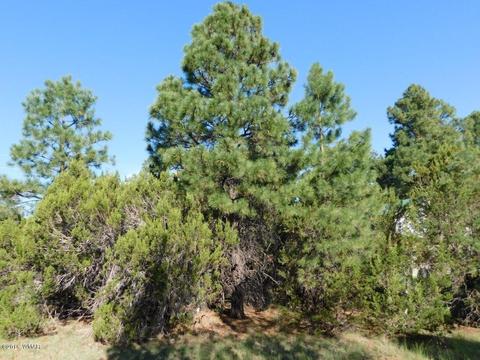 3320 Mogollon Dr, Overgaard, AZ 85933 photo 13