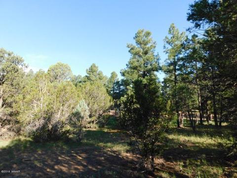 3320 Mogollon Dr, Overgaard, AZ 85933 photo 7