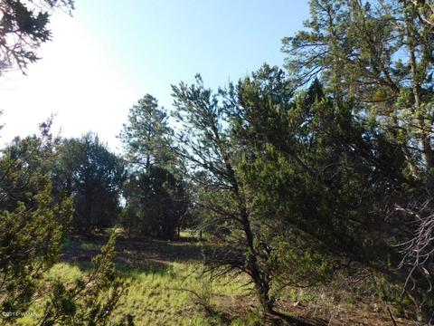 3320 Mogollon Dr, Overgaard, AZ 85933 photo 18