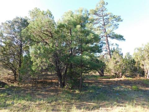 3320 Mogollon Dr, Overgaard, AZ 85933 photo 8
