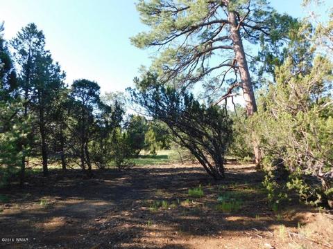 3320 Mogollon Dr, Overgaard, AZ 85933 photo 20