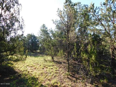 3320 Mogollon Dr, Overgaard, AZ 85933 photo 17