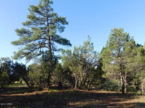3320 Mogollon Dr, Overgaard, AZ 85933 photo 5
