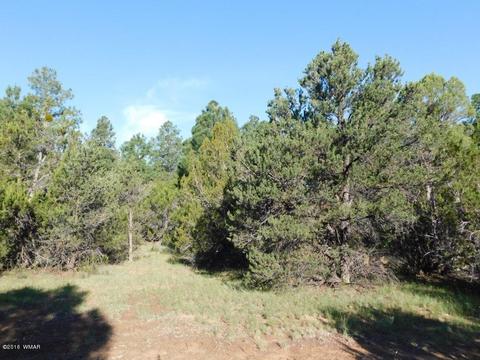 3320 Mogollon Dr, Overgaard, AZ 85933 photo 11