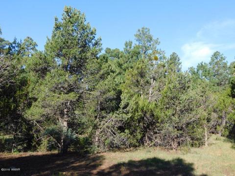 3320 Mogollon Dr, Overgaard, AZ 85933 photo 9