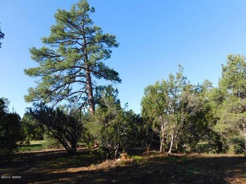 3320 Mogollon Dr, Overgaard, AZ 85933 photo 4