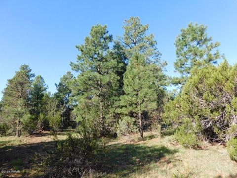 3320 Mogollon Dr, Overgaard, AZ 85933 photo 14