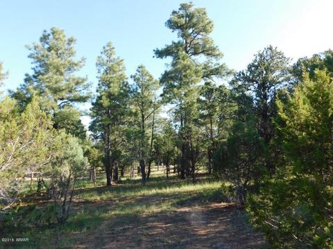 3320 Mogollon Dr, Overgaard, AZ 85933 photo 2