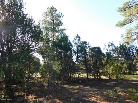3320 Mogollon Dr, Overgaard, AZ 85933 photo 19