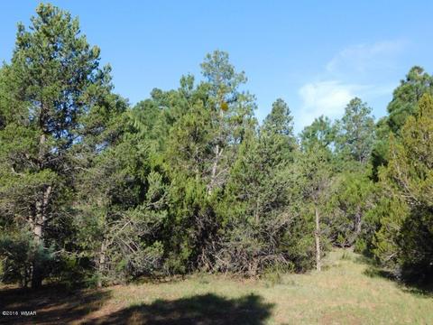 3320 Mogollon Dr, Overgaard, AZ 85933 photo 10