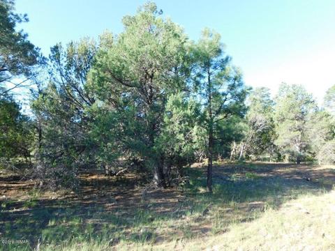 3320 Mogollon Dr, Overgaard, AZ 85933 photo 3