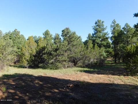 3320 Mogollon Dr, Overgaard, AZ 85933 photo 21