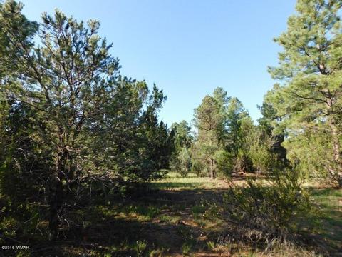 3320 Mogollon Dr, Overgaard, AZ 85933 photo 16