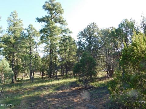 3320 Mogollon Dr, Overgaard, AZ 85933 photo 1