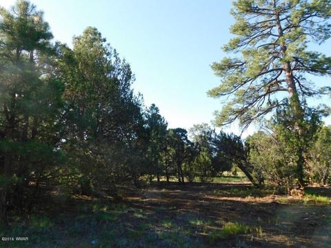 3320 Mogollon Dr, Overgaard, AZ 85933 photo 12