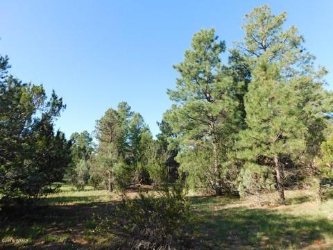 3320 Mogollon Dr, Overgaard, AZ 85933 photo 15