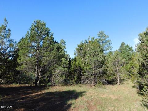 3320 Mogollon Dr, Overgaard, AZ 85933 photo 6