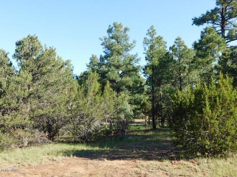 3320 Mogollon Dr, Overgaard, AZ 85933 photo 22
