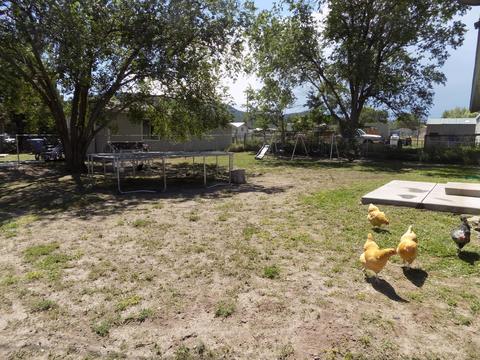 339 S Hamblin St, Eagar, AZ 85925 photo 6
