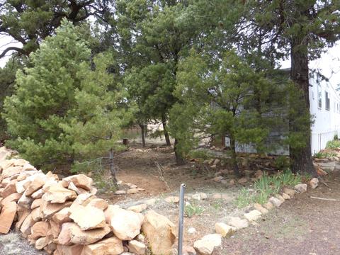 3581 Wildflower Dr, Overgaard, AZ 85933 photo 6