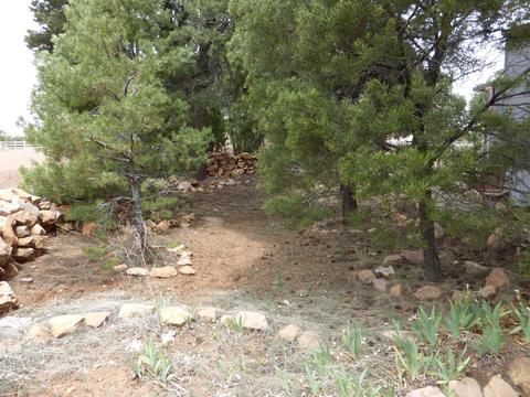 3581 Wildflower Dr, Overgaard, AZ 85933 photo 2