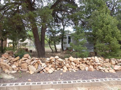 3581 Wildflower Dr, Overgaard, AZ 85933 photo 19