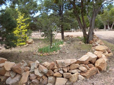 3581 Wildflower Dr, Overgaard, AZ 85933 photo 4