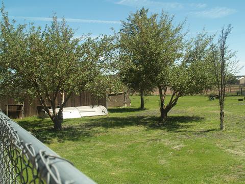 1623 E Becker Lane Rd, Springerville, AZ 85938 photo 4