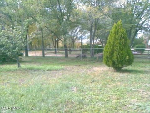 787 S Eagar, Eagar, AZ 85925 photo 13