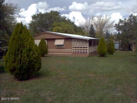 787 S Eagar, Eagar, AZ 85925 photo 12