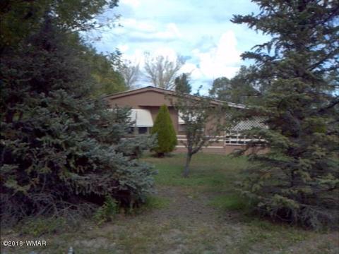 787 S Eagar, Eagar, AZ 85925 photo 10