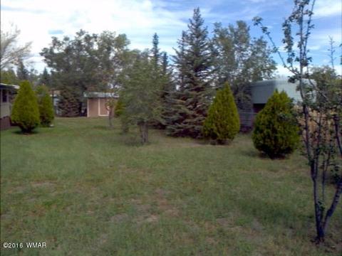 787 S Eagar, Eagar, AZ 85925 photo 11