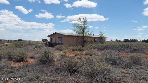 4507 Springer Cir, Snowflake, AZ 85937 photo 1