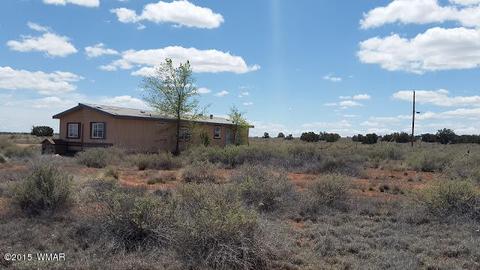 4507 Springer Cir, Snowflake, AZ 85937 photo 4